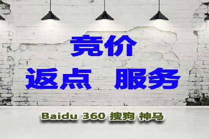 SEO技术突破：某网站流量暴增的背后故事